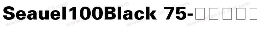 Seauel100Black 75字体转换